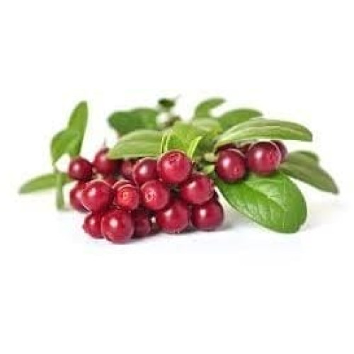 Концентрированный брусничный сок (70 ± Briх) кислотность 4,5%, 1кг Концентрированный брусничный сок (70 ± Briх) кислотность 4,5%, 1кг