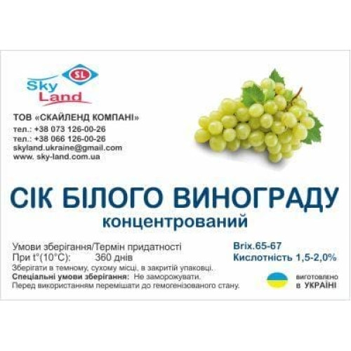 Концентрированный виноградный сок белых сортов, канистра 10л/13кг Концентрированный виноградный сок белых сортов, канистра 10л/13кг