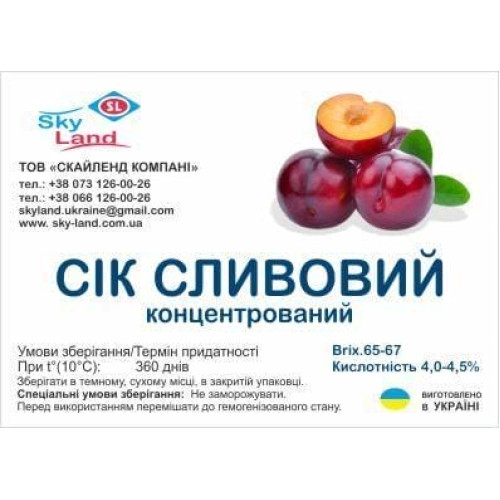 Сливянка из концентрированного сливового сока Сливянка из концентрированного сливового сока